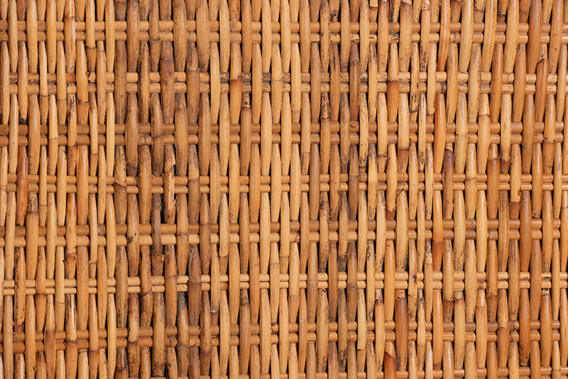 Novia Wingback Natural Rattan Dining Chair with Cushion