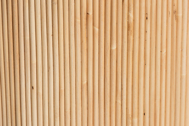 Connie Natural Rattan Barrel Chair with Rattan Pole Back