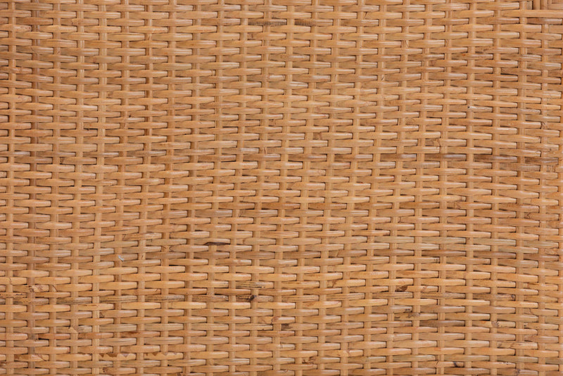 Elda Natural Rattan Display Shelf with 2-Door Storage Cabinet