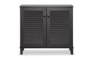 Theo Espresso Shoe-Storage Cabinet, 2-Doors Baxton