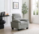Summerton  Chair, Gray