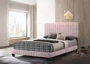 Lodi Full Box Spring Bed, Pink