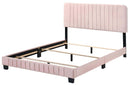 Lodi Full Box Spring Bed, Pink
