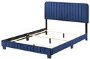Lodi Full Box Spring Bed, Navy Blue