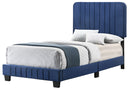 Lodi Twin Box Spring Bed, Navy Blue