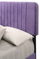 Lodi Full Box Spring Bed, Purple