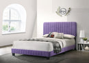 Lodi Full Box Spring Bed, Purple
