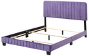 Lodi Queen Box Spring Bed, Purple