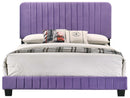 Lodi Queen Box Spring Bed, Purple