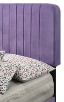 Lodi Twin Box Spring Bed, Purple
