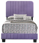 Lodi Twin Box Spring Bed, Purple