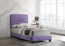 Lodi Twin Box Spring Bed, Purple
