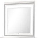 Genoa 44"L x 38"H Mirror, Silver Champagne