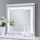 Genoa 44"L x 38"H Mirror, Silver Champagne