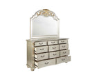 Lyon 54"L x 48"H Mirror, Silver Champagne