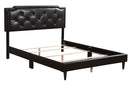 Deb Queen Box Spring Bed, Cappucino