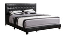 Caldwell Queen Box Spring Bed, Black