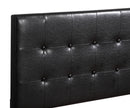 Caldwell Queen Box Spring Bed, Black