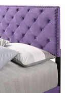 Suffolk Queen Box Spring Bed, Purple