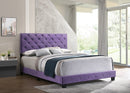 Suffolk Queen Box Spring Bed, Purple
