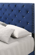 Suffolk Queen Box Spring Bed, Navy Blue