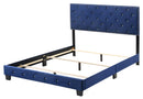 Suffolk Queen Box Spring Bed, Navy Blue