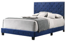 Suffolk Queen Box Spring Bed, Navy Blue