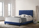 Suffolk Queen Box Spring Bed, Navy Blue