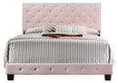 Suffolk Queen Box Spring Bed, Pink
