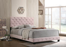 Suffolk Queen Box Spring Bed, Pink
