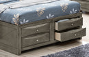 Marilla Queen Storage Bed, Gray