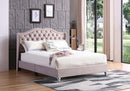 Joy Queen Box Spring Bed, Beige