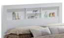 Burlington Full Box Spring Bed, White