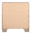 Alana 2-Drawers Nightstand, Silver Champagne