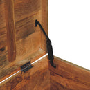 Buffalo Hide Oak-ish Storage Trunk Artisan