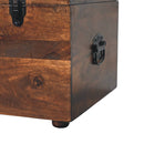 Brown Buffalo hide leather Storage Trunk Artisan