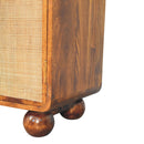 Larissa 2 Door Chestnut Cabinet Artisan